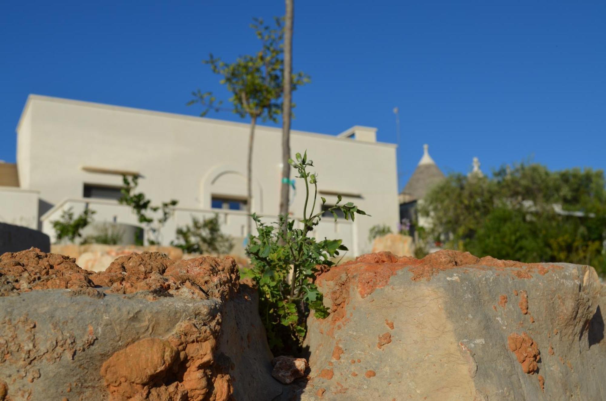 B&B Fuga Al Trullo ออสตูนี ภายนอก รูปภาพ